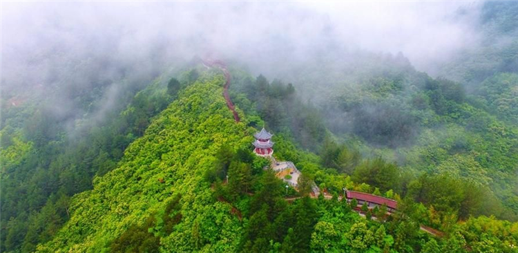 秦岭腹地佛坪：雨后姿态万千